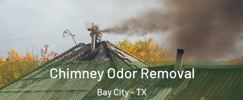 Chimney Odor Removal Bay City - TX